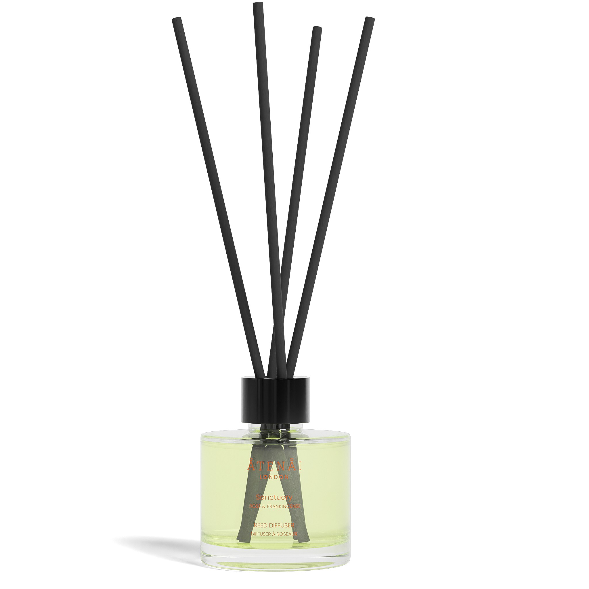 Individual Product Front White Background (6).jpg