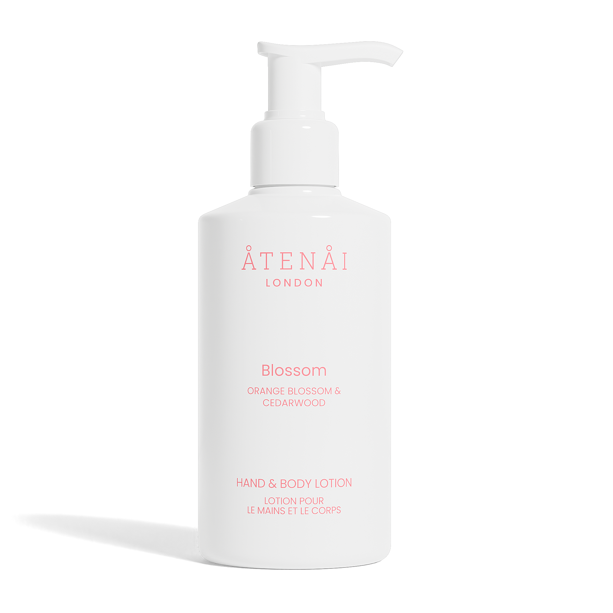 Individual Product Front White Background (3).png